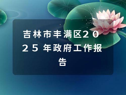 吉林市丰满区2025年政府工作报告